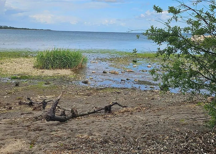 4 Person In Aabenraa-by Traum Σπίτι διακοπών Aabenraa
